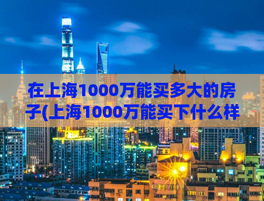 在上海1000万能买多大的房子(上海1000万能买下什么样的房子？)