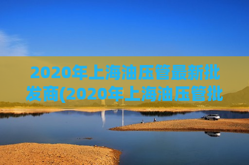 2020年上海油压管最新批发商(2020年上海油压管批发商最新名单和价格解析)