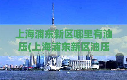 上海浦东新区哪里有油压(上海浦东新区油压按摩推荐地点)