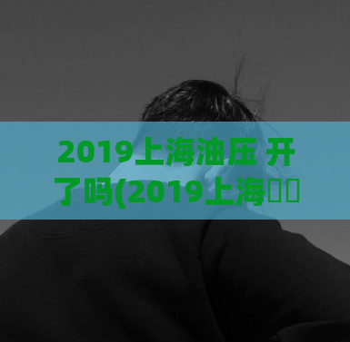 2019上海油压 开了吗(2019上海國際石油展覽會現已開幕)