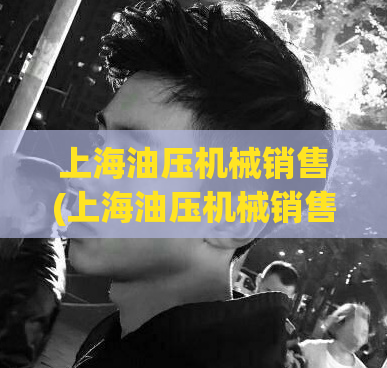 上海油压机械销售(上海油压机械销售：热门机型全面解析)