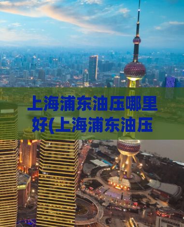 上海浦东油压哪里好(上海浦东油压推荐店，让你的身体重获平衡)