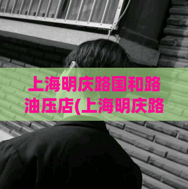 上海明庆路国和路油压店(上海明庆路国和路油压店详细评测及优缺点分析)