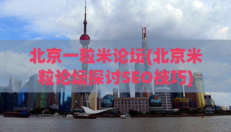 北京一粒米论坛(北京米粒论坛探讨SEO技巧)