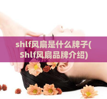 shlf风扇是什么牌子(Shlf风扇品牌介绍)
