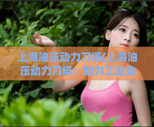上海油压动力刀塔(上海油压动力刀塔：助力工业自动化的新选择)
