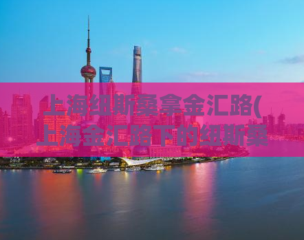 上海纽斯桑拿金汇路(上海金汇路下的纽斯桑拿体验)