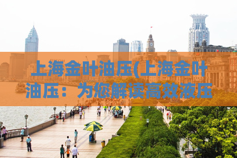 上海金叶油压(上海金叶油压：为您解读高效液压传动技术)