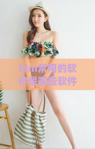 bim常用的软件是哪些软件(常用BIM软件有哪些？)