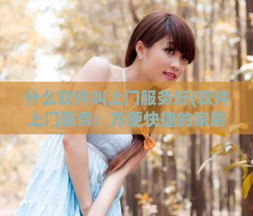 什么软件叫上门服务好(软件上门服务：方便快捷的家居维修新选择)