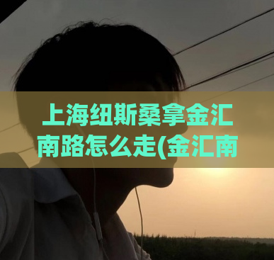 上海纽斯桑拿金汇南路怎么走(金汇南路上海纽斯桑拿的路线指南)