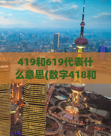 419和619代表什么意思(数字418和619的含义，揭秘SEO中的数字密码)
