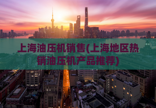 上海油压机销售(上海地区热销油压机产品推荐)
