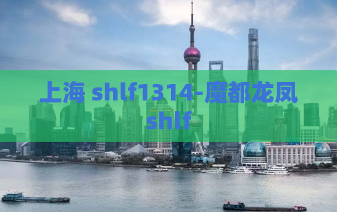 上海 shlf1314-魔都龙凤shlf