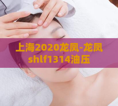 上海2020龙凤-龙凤shlf1314油压