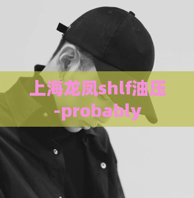 上海龙凤shlf油压-probably