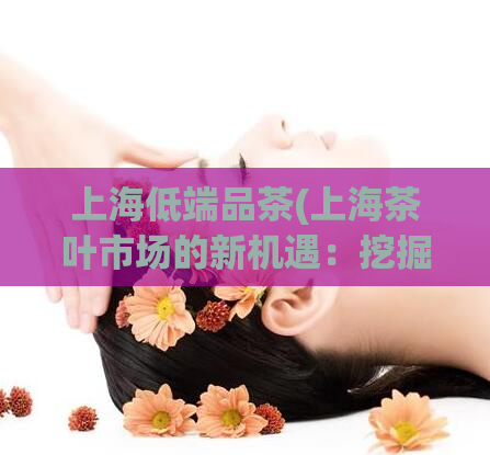 上海低端品茶(上海茶叶市场的新机遇：挖掘低端茶叶的宝藏)