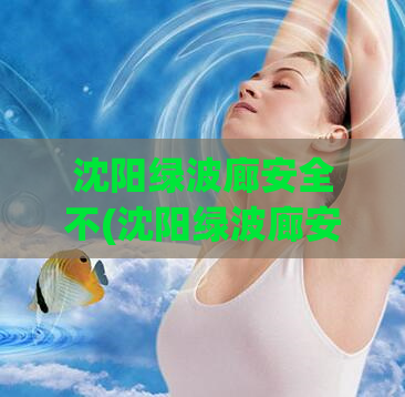 沈阳绿波廊安全不(沈阳绿波廊安全状况深度揭秘)