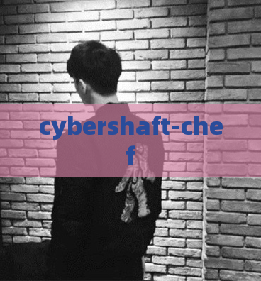 cybershaft-chef