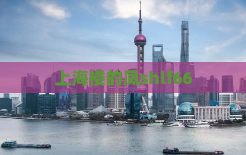 上海楼的凤shlf66