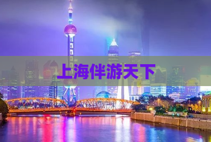 上海伴游天下