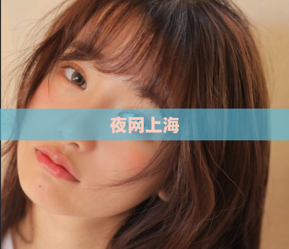 夜网上海