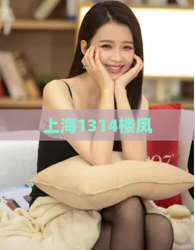 上海1314楼凤