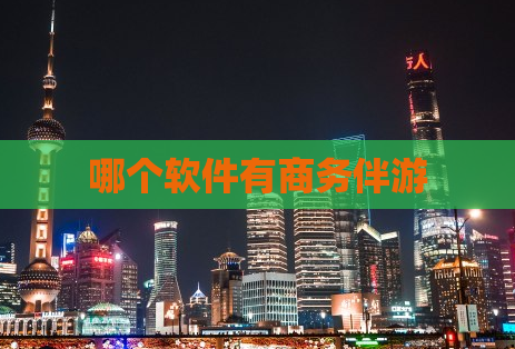 哪个软件有商务伴游