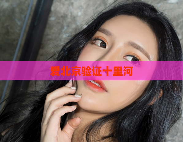爱北京验证十里河