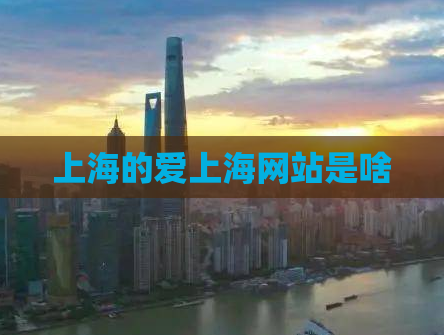 上海的爱上海网站是啥