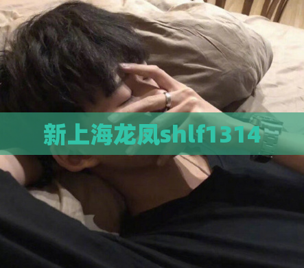 新上海龙凤shlf1314