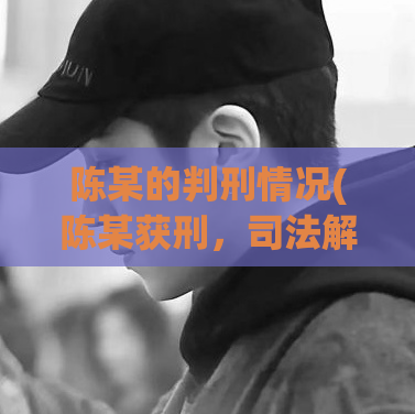 陈某的判刑情况(陈某获刑，司法解决网络违法犯罪)