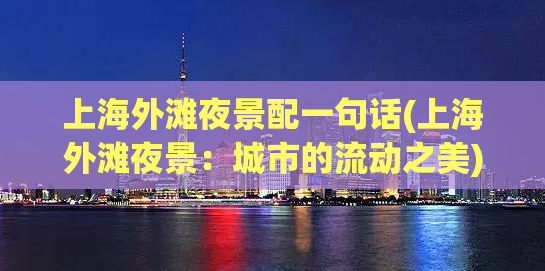 上海外滩夜景配一句话(上海外滩夜景：城市的流动之美)